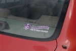 removeable car decals