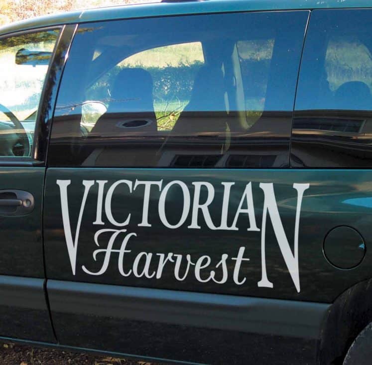 Vinyl Sticker lettering for Cars