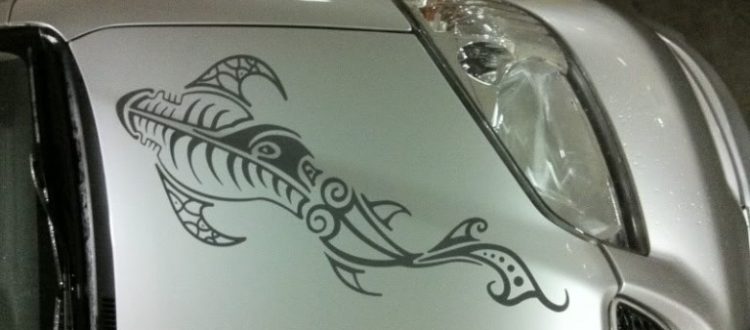 Car Hood Decal