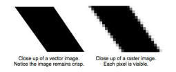 vector file vs raster file sample