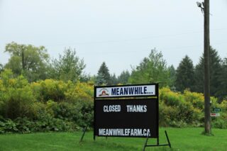 Reader Board Letters