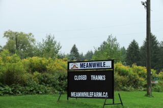 Reader Board Letters